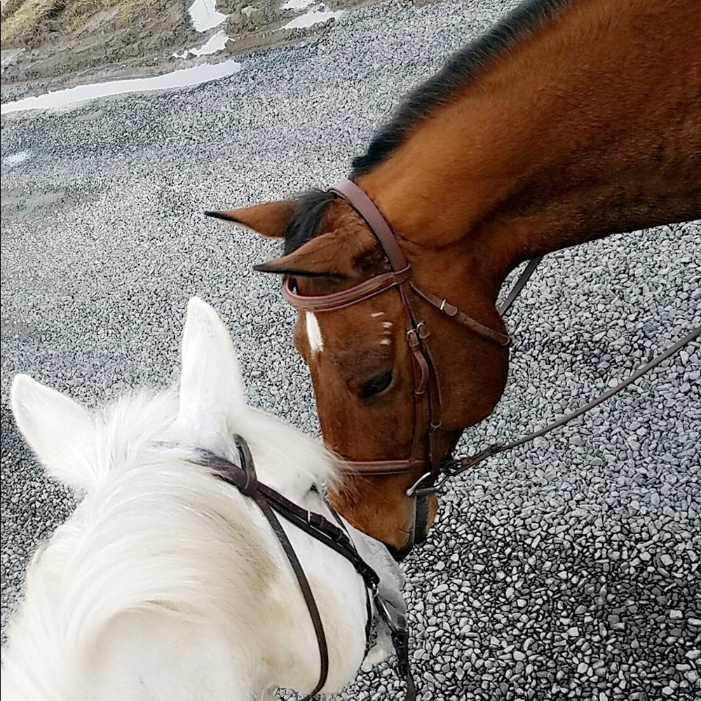 Meet your Posher, Kimmy